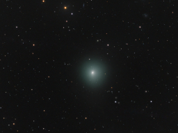 Comet 41P 